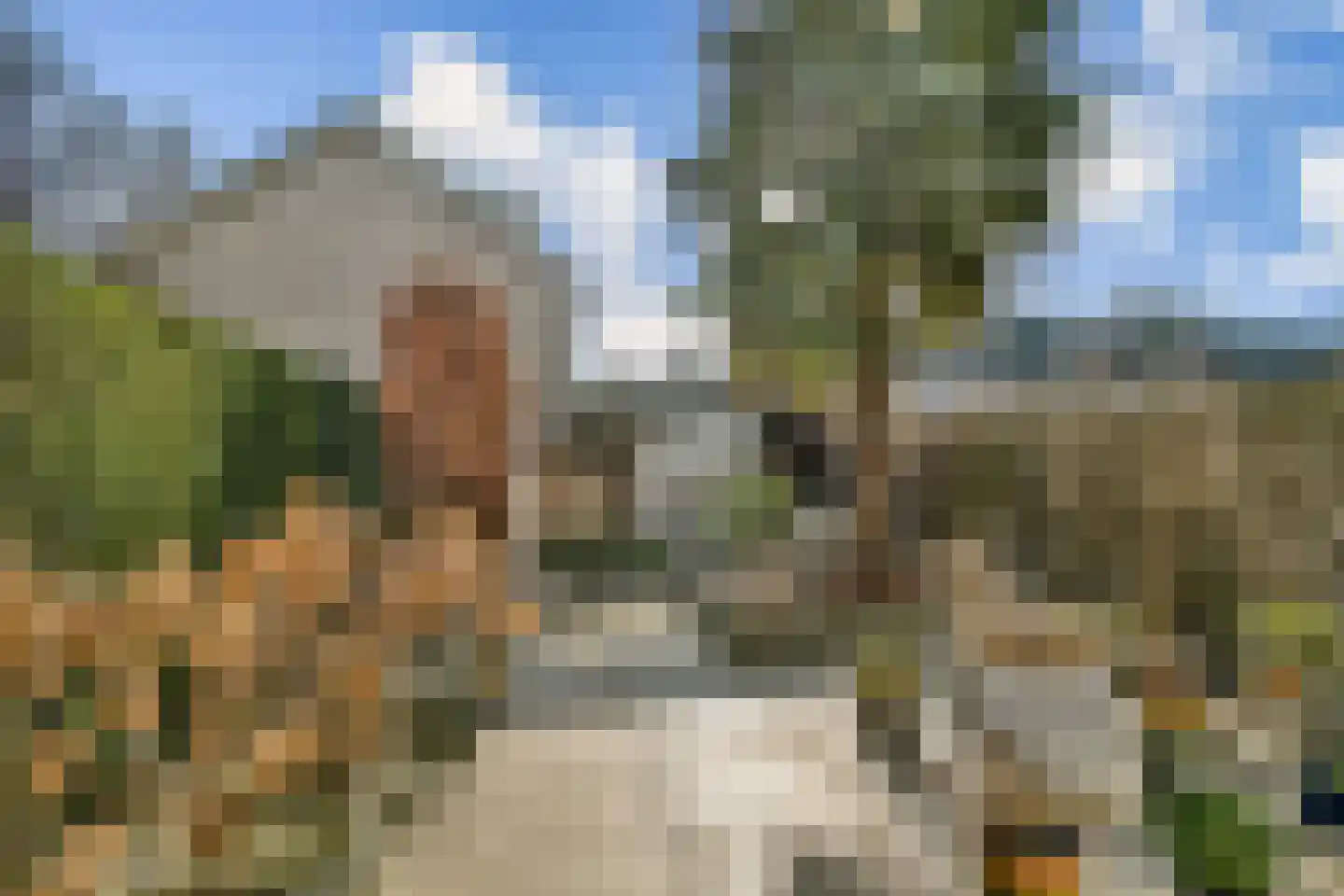 Lindelaan 81 Dordrecht thumbnail 16