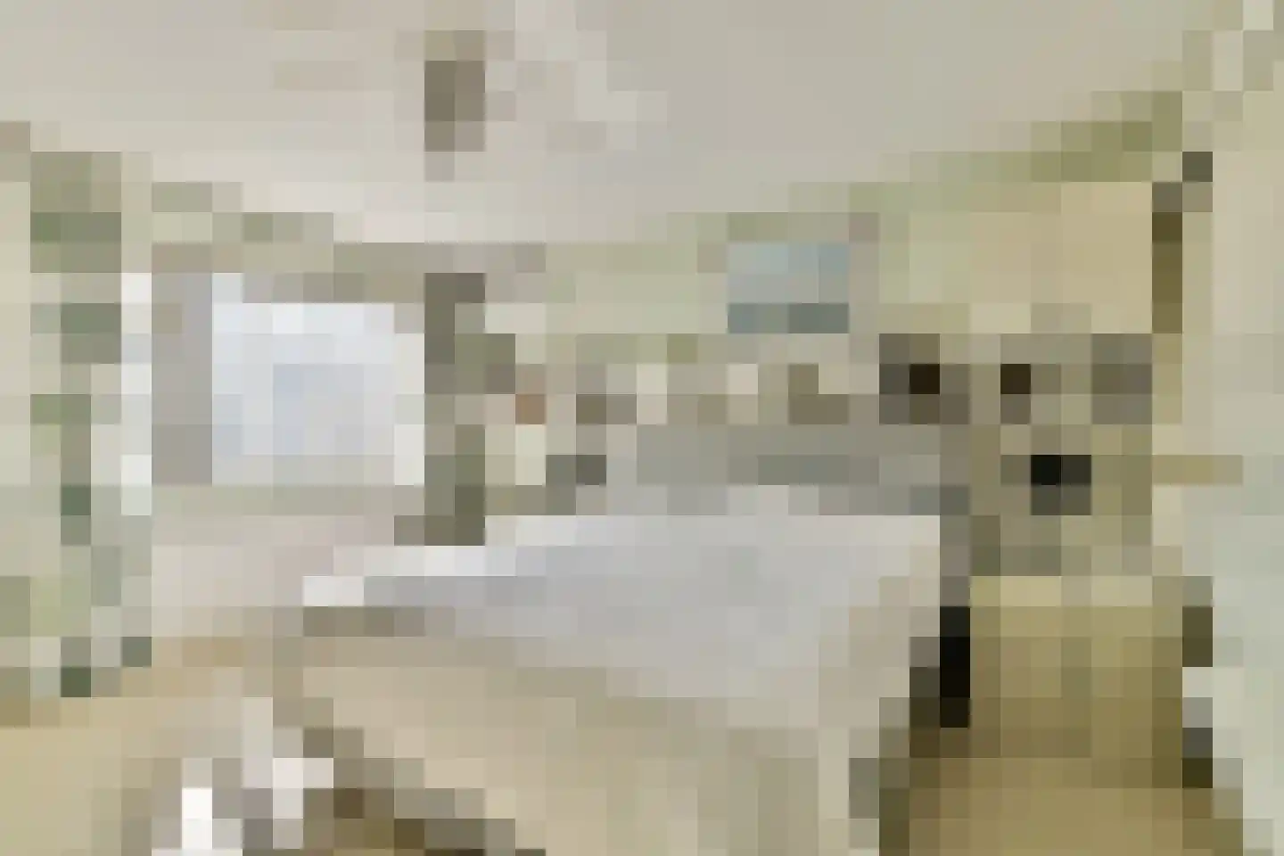 Lindelaan 81 Dordrecht thumbnail 5