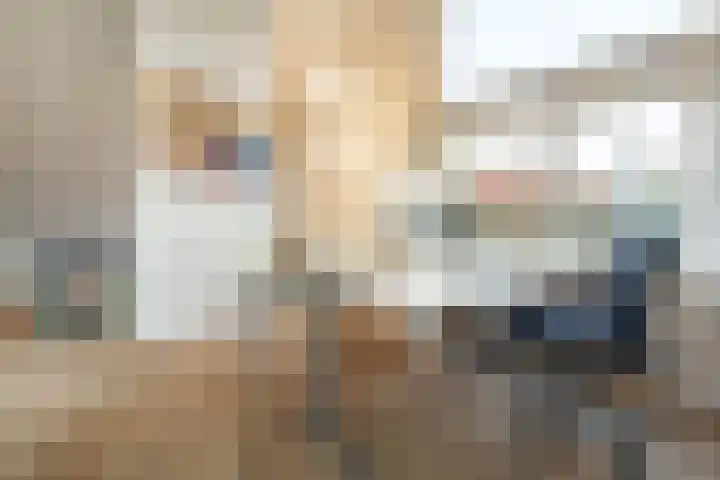 Lindelaan 9 Renkum thumbnail 27