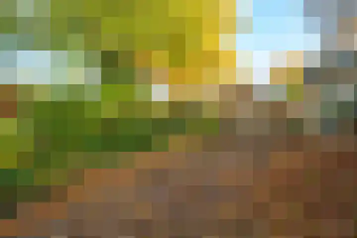 Lindelaan 9 Renkum thumbnail 32
