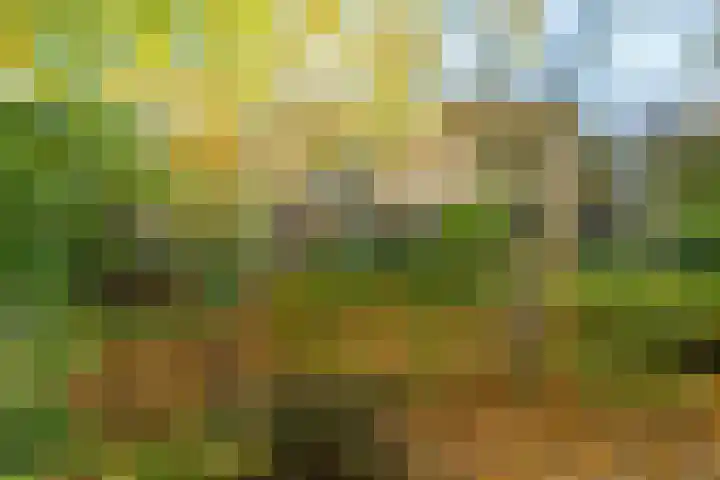 Lindelaan 9 Renkum thumbnail 33