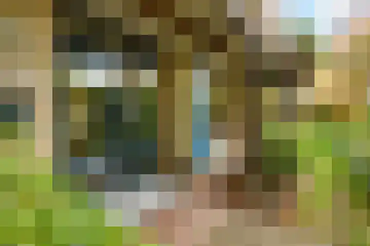 Lindelaan 9 Renkum thumbnail 35
