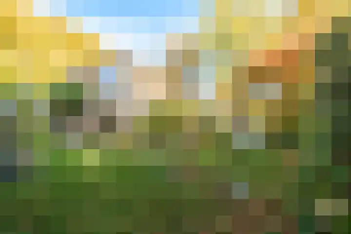 Lindelaan 9 Renkum thumbnail 36