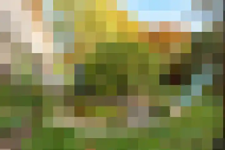 Lindelaan 9 Renkum thumbnail 37