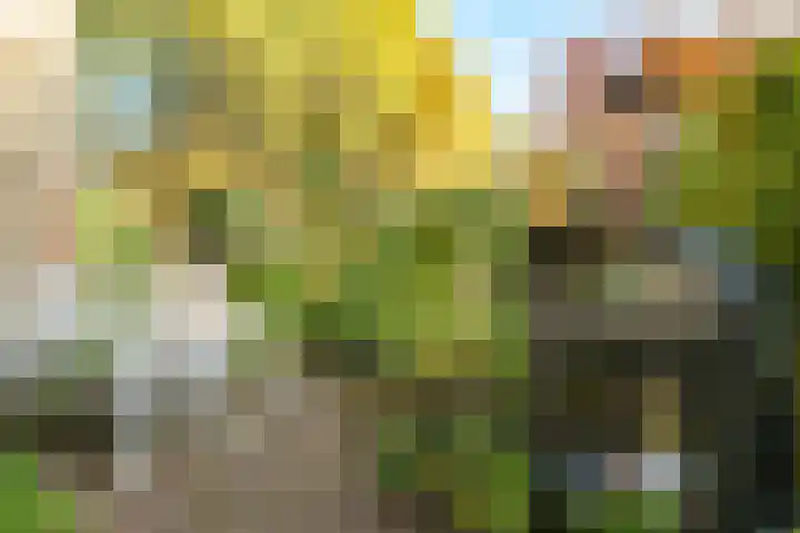 Lindelaan 9 Renkum thumbnail 38