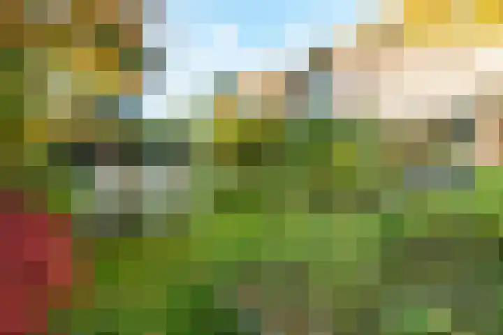Lindelaan 9 Renkum thumbnail 39