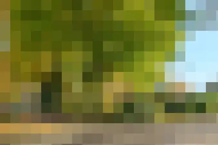 Lindelaan 9 Renkum thumbnail 4