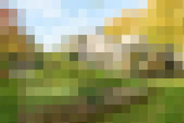 Lindelaan 9 Renkum thumbnail 40