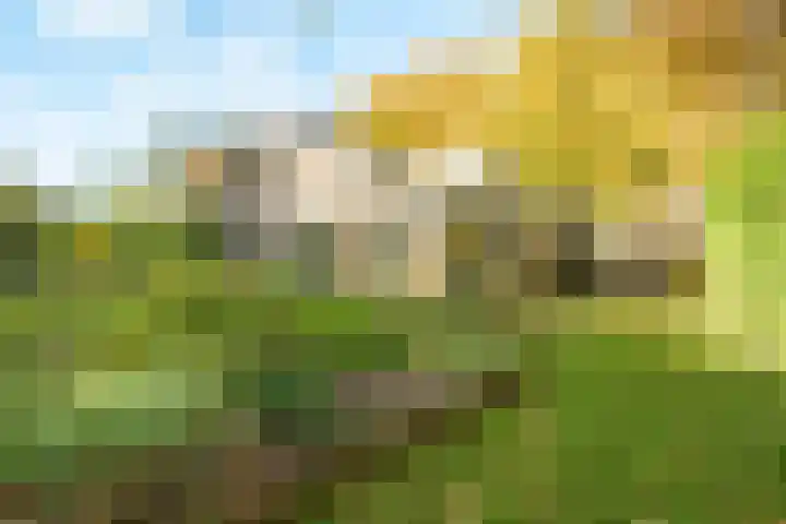 Lindelaan 9 Renkum thumbnail 41