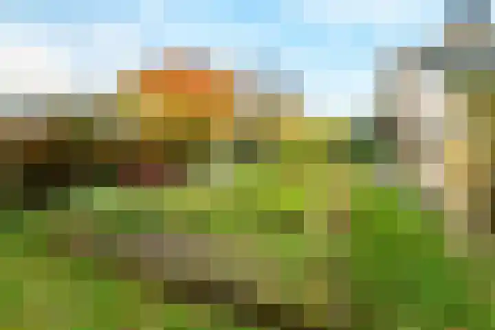 Lindelaan 9 Renkum thumbnail 42
