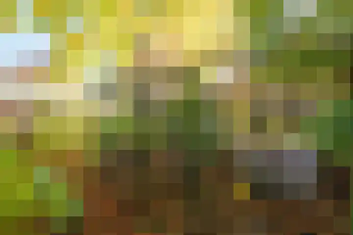 Lindelaan 9 Renkum thumbnail 43