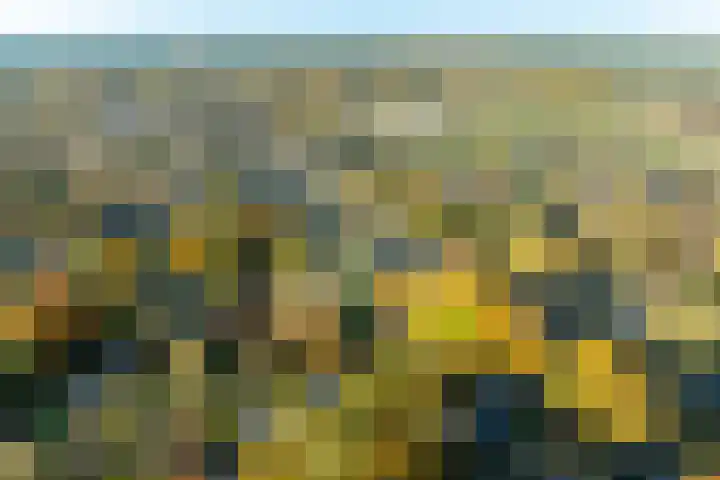 Lindelaan 9 Renkum thumbnail 45