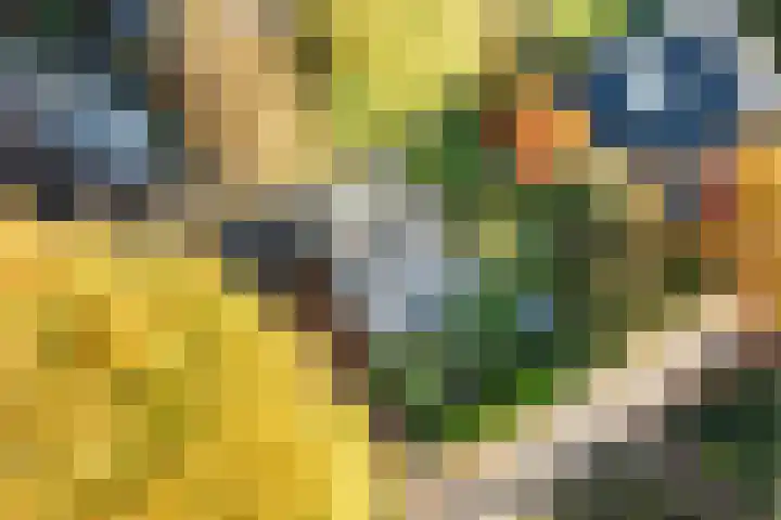 Lindelaan 9 Renkum thumbnail 48