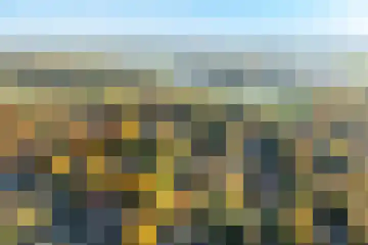 Lindelaan 9 Renkum thumbnail 49