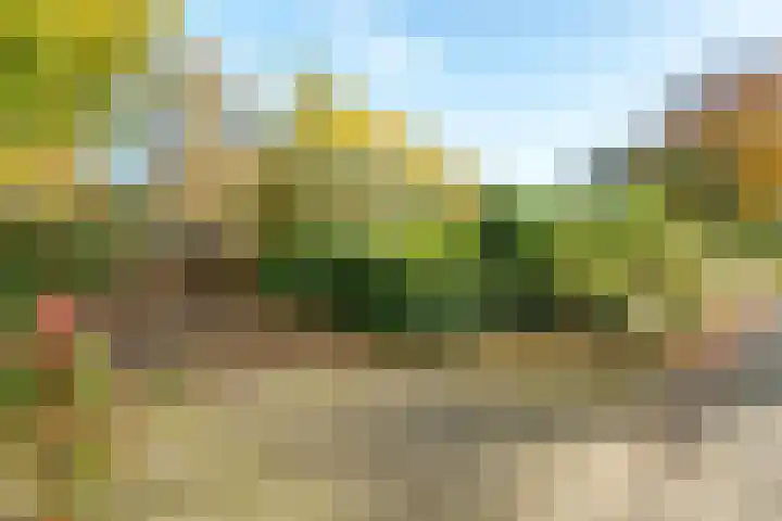 Lindelaan 9 Renkum thumbnail 5