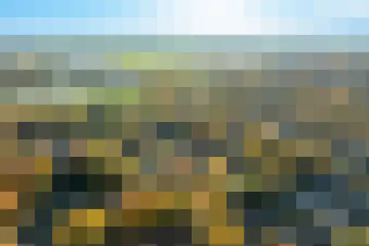 Lindelaan 9 Renkum thumbnail 51