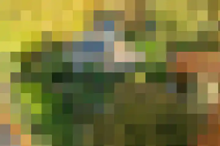 Lindelaan 9 Renkum thumbnail 52