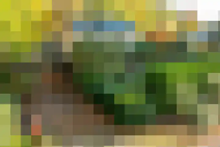 Lindelaan 9 Renkum thumbnail 53