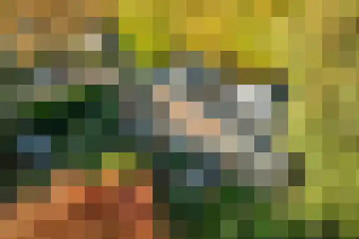 Lindelaan 9 Renkum thumbnail 54