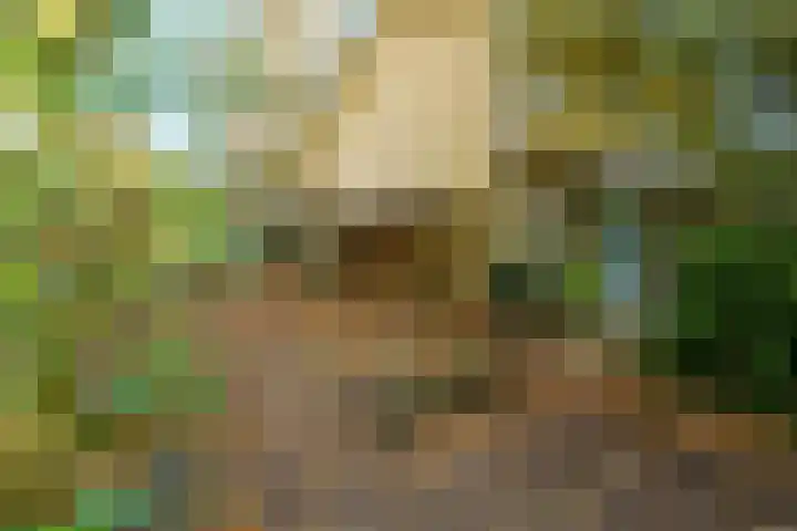 Lindelaan 9 Renkum thumbnail 6