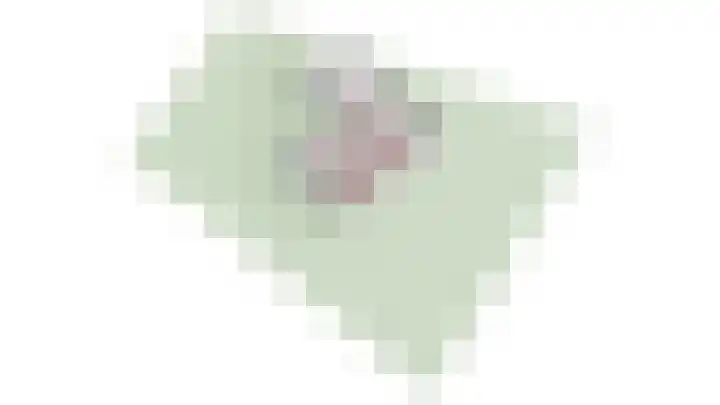 Lindelaan 9 Renkum thumbnail 60