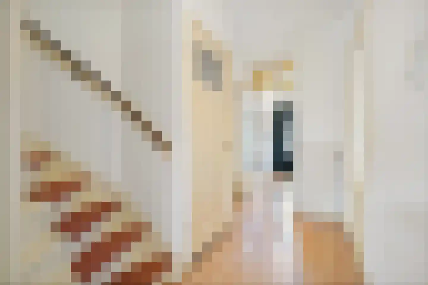 Lindelaan 90 Rijswijk thumbnail 14