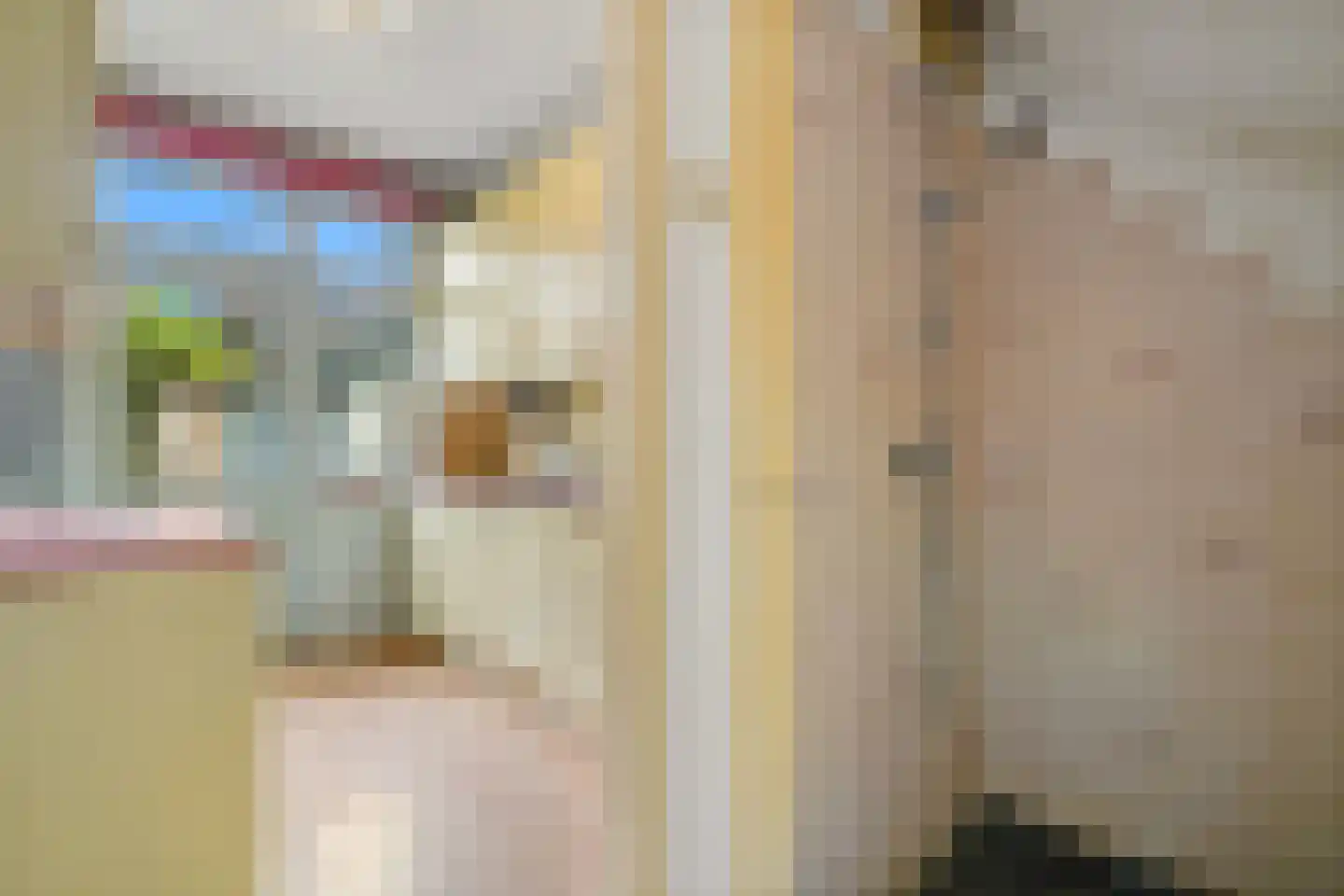 Lindelaan 90 Rijswijk thumbnail 23