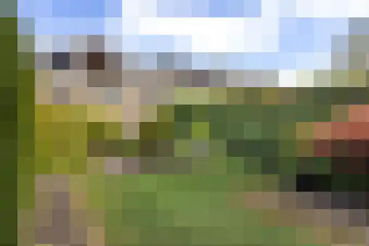 Lindelaan 93 Dordrecht thumbnail 25