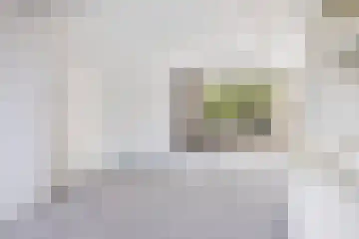 Lindelaan 93 Dordrecht thumbnail 4