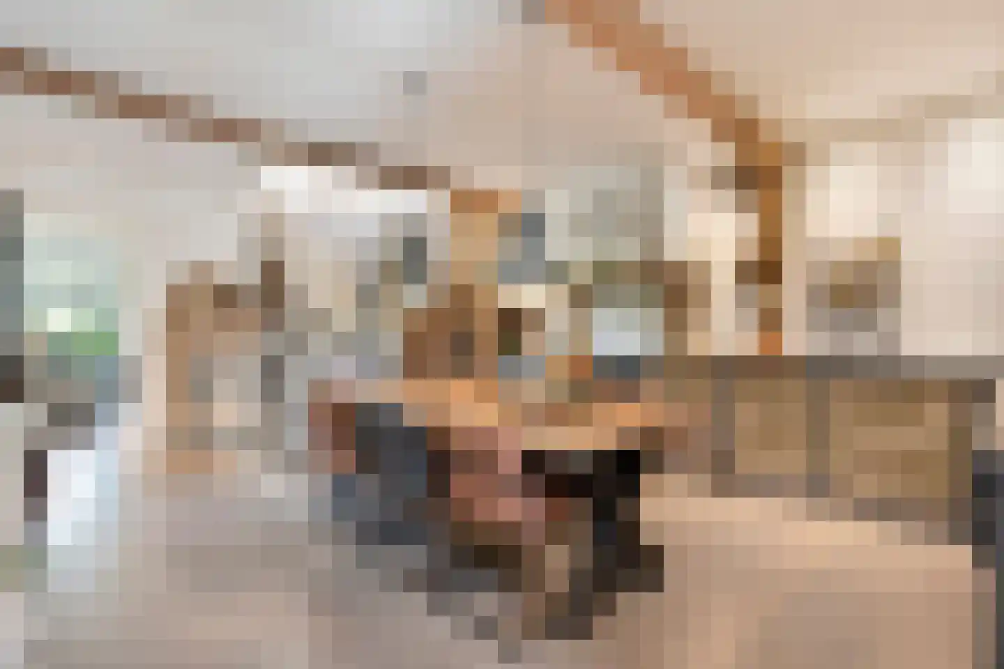 Lindeldijk 6 Radewijk thumbnail 14