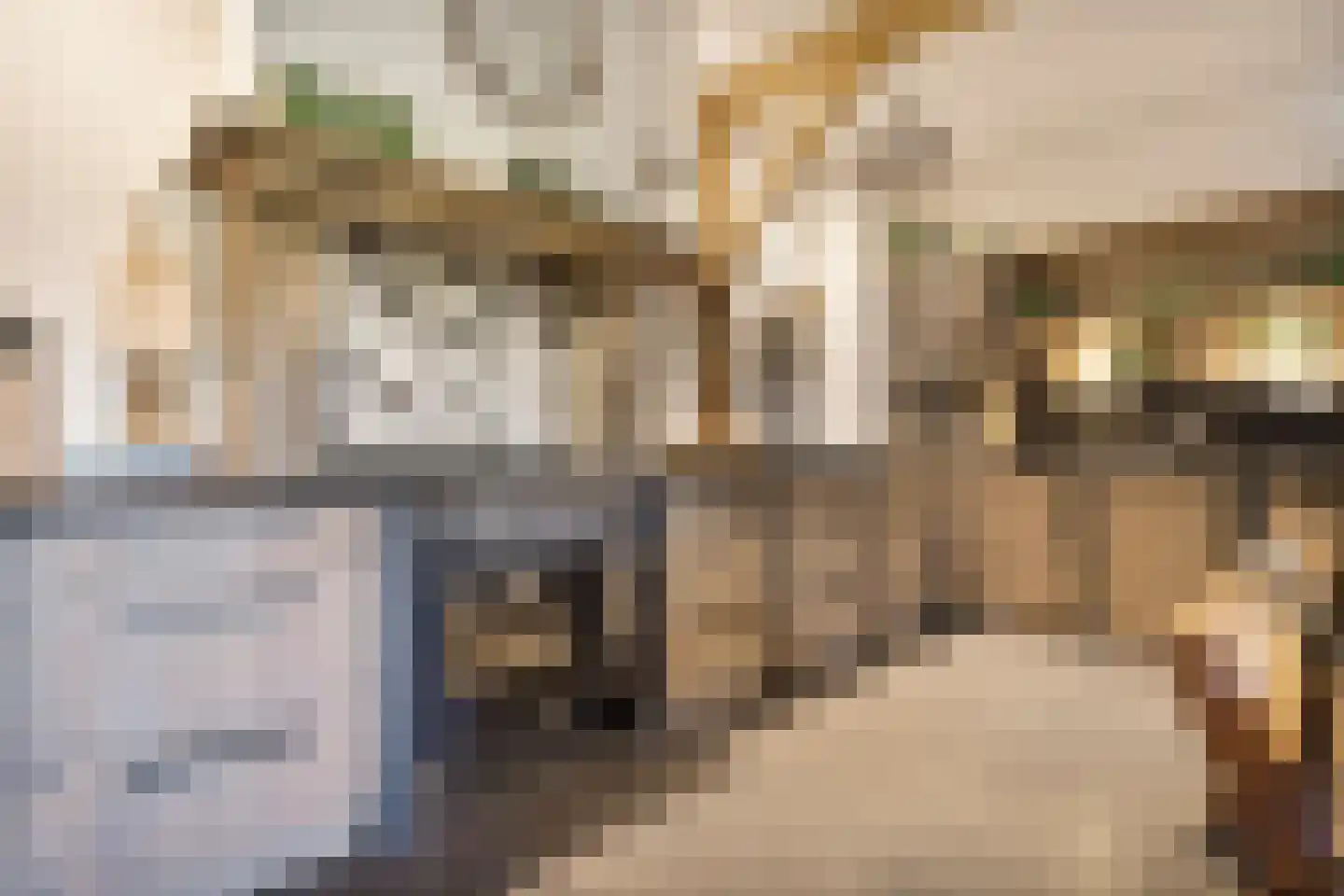 Lindeldijk 6 Radewijk thumbnail 15