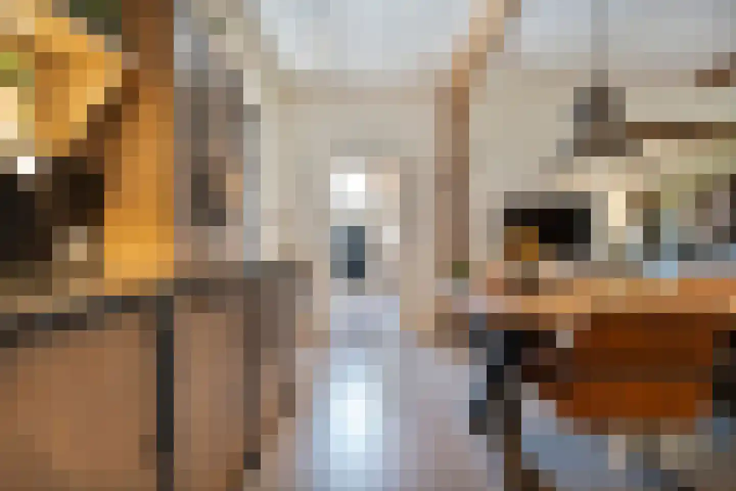 Lindeldijk 6 Radewijk thumbnail 17
