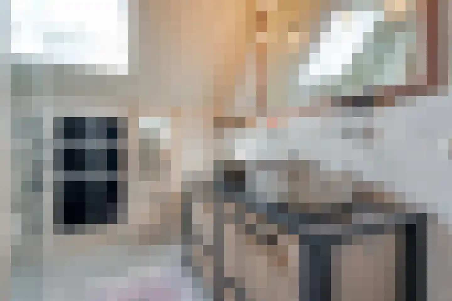 Lindeldijk 6 Radewijk thumbnail 18