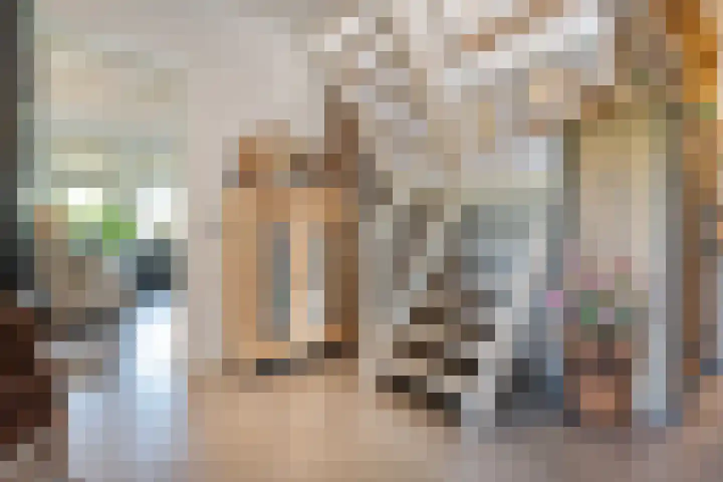 Lindeldijk 6 Radewijk thumbnail 22
