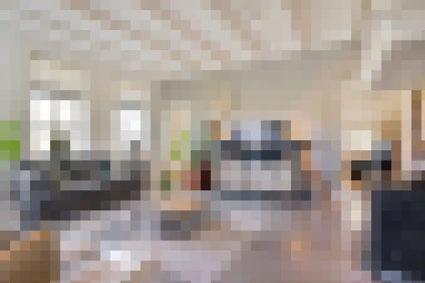 Lindeldijk 6 Radewijk thumbnail 23