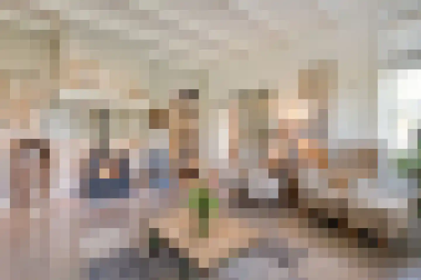 Lindeldijk 6 Radewijk thumbnail 25