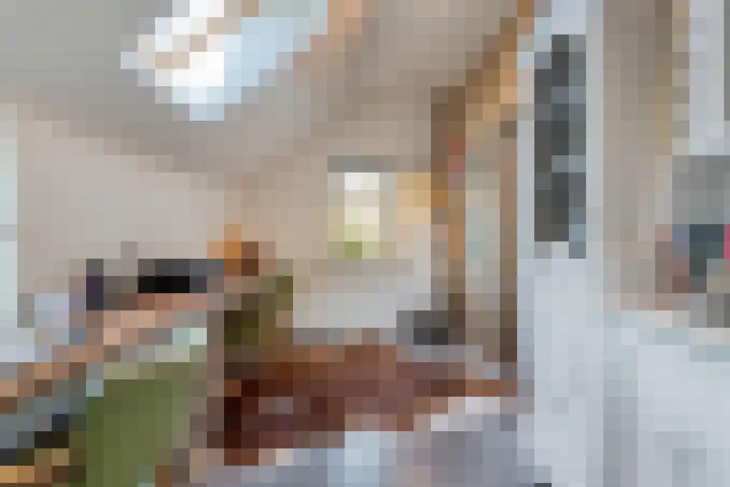 Lindeldijk 6 Radewijk thumbnail 27