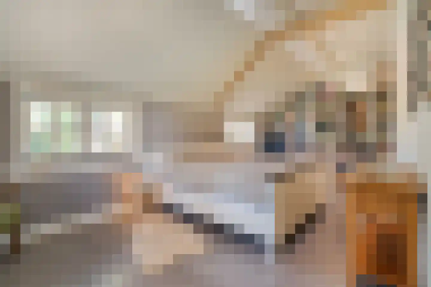 Lindeldijk 6 Radewijk thumbnail 30