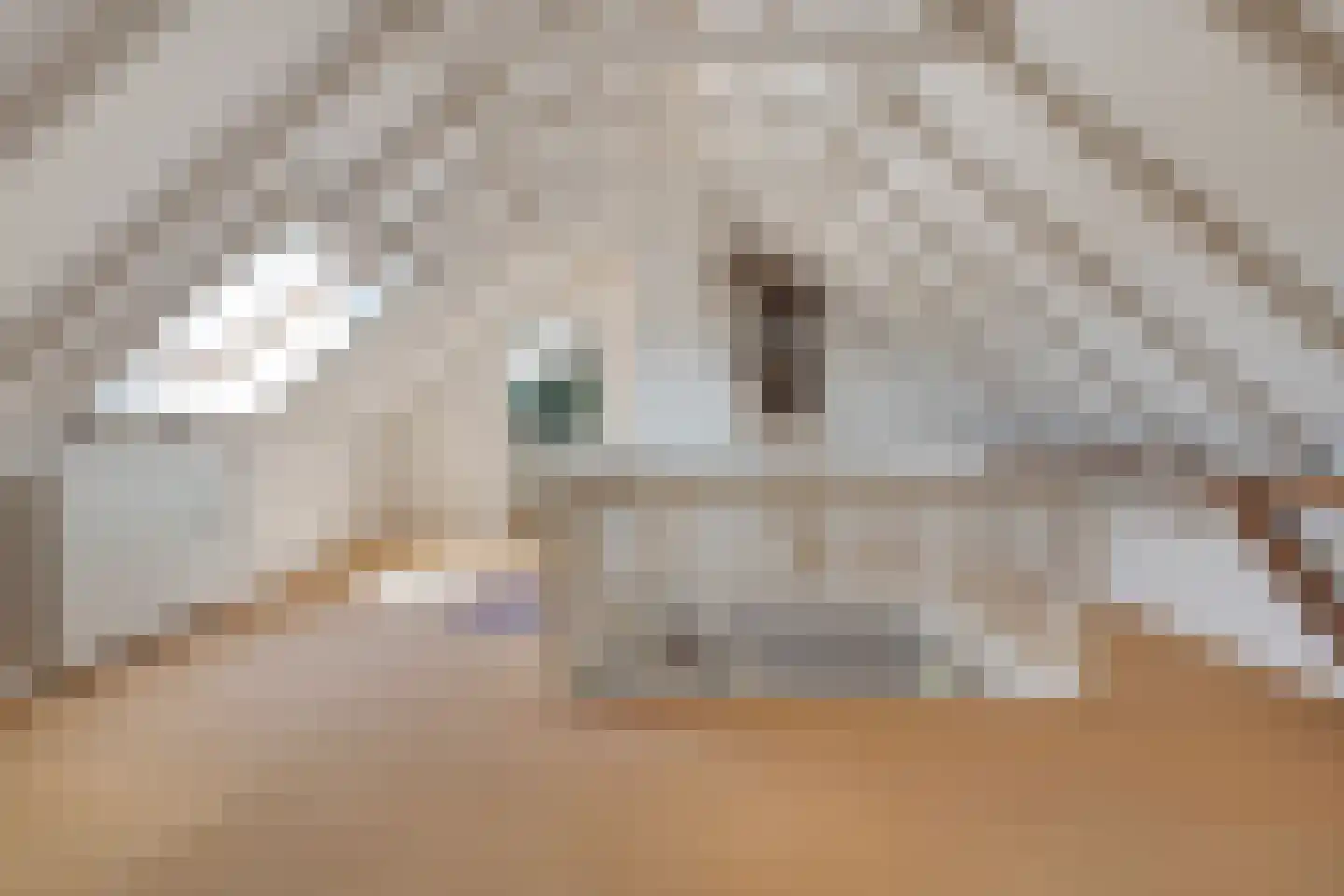 Lindeldijk 6 Radewijk thumbnail 32