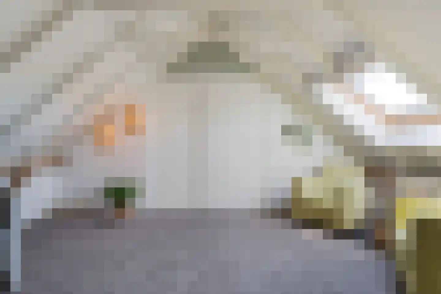 Lindeldijk 6 Radewijk thumbnail 36