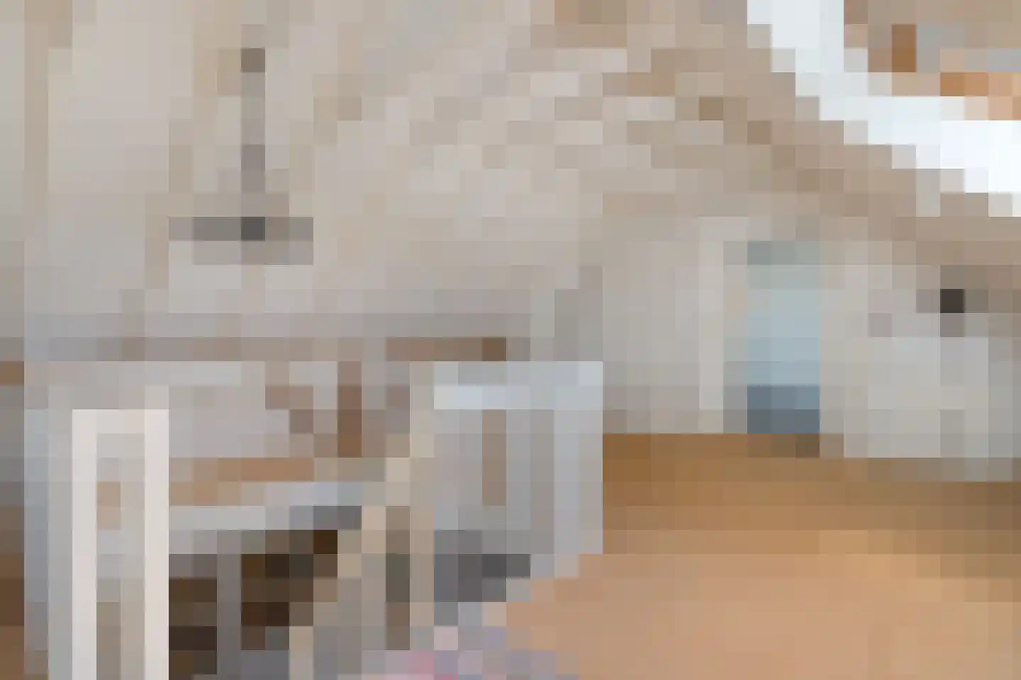 Lindeldijk 6 Radewijk thumbnail 38