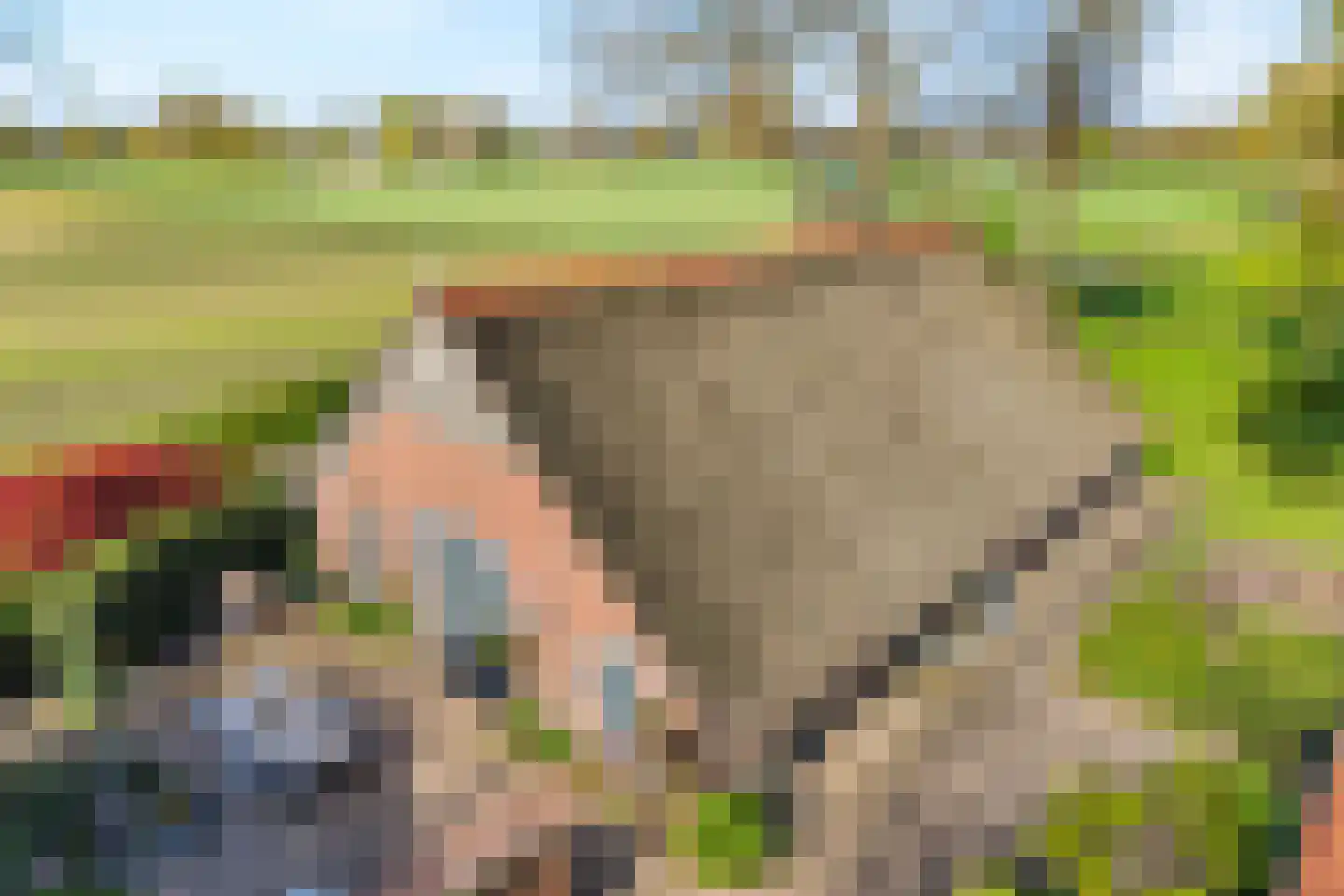 Lindeldijk 6 Radewijk thumbnail 4