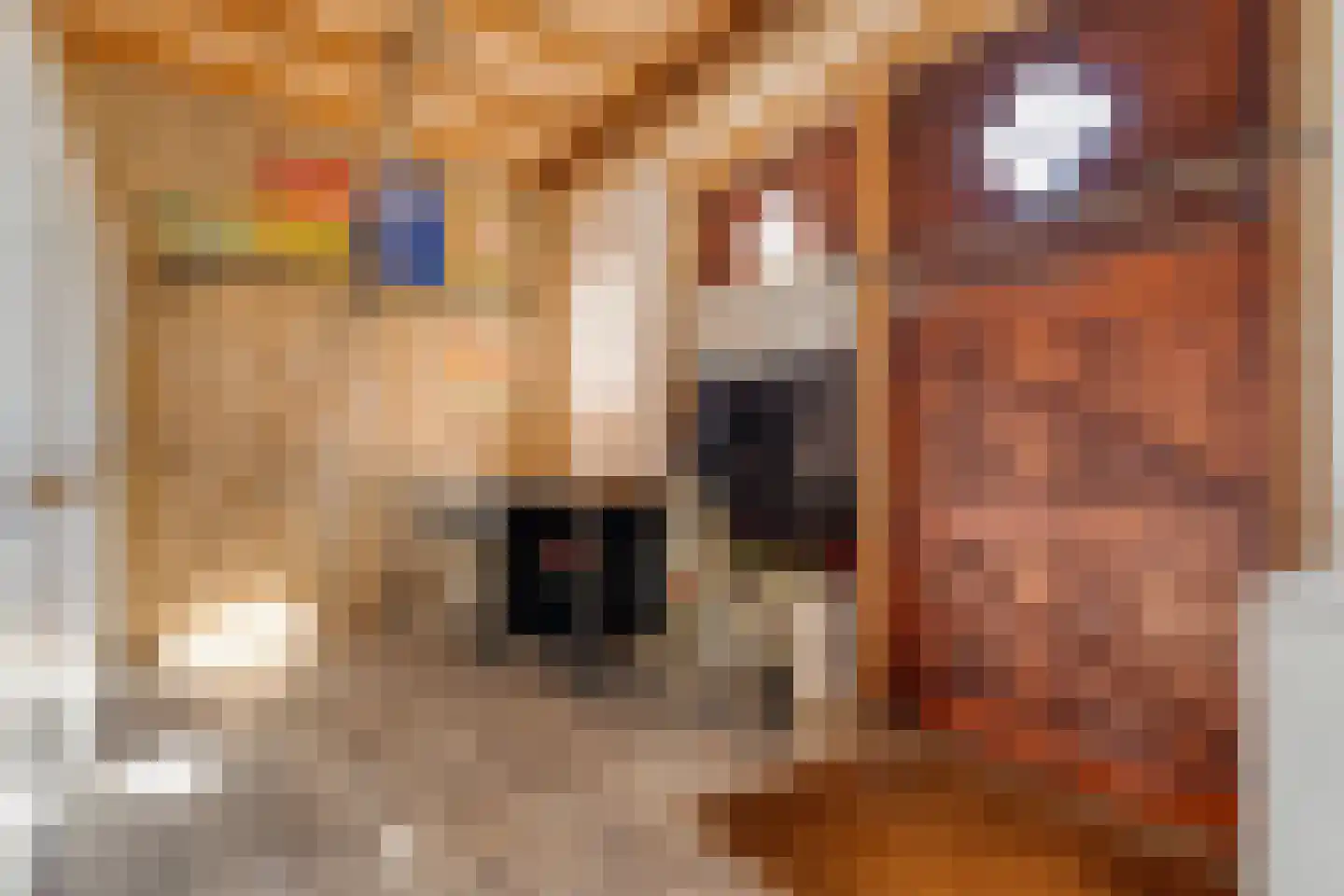 Lindeldijk 6 Radewijk thumbnail 44
