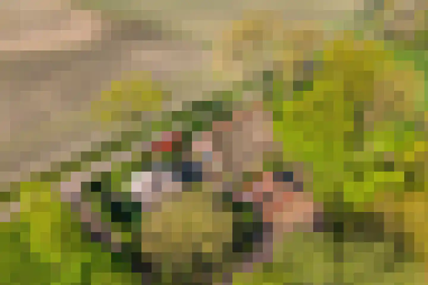 Lindeldijk 6 Radewijk thumbnail 5