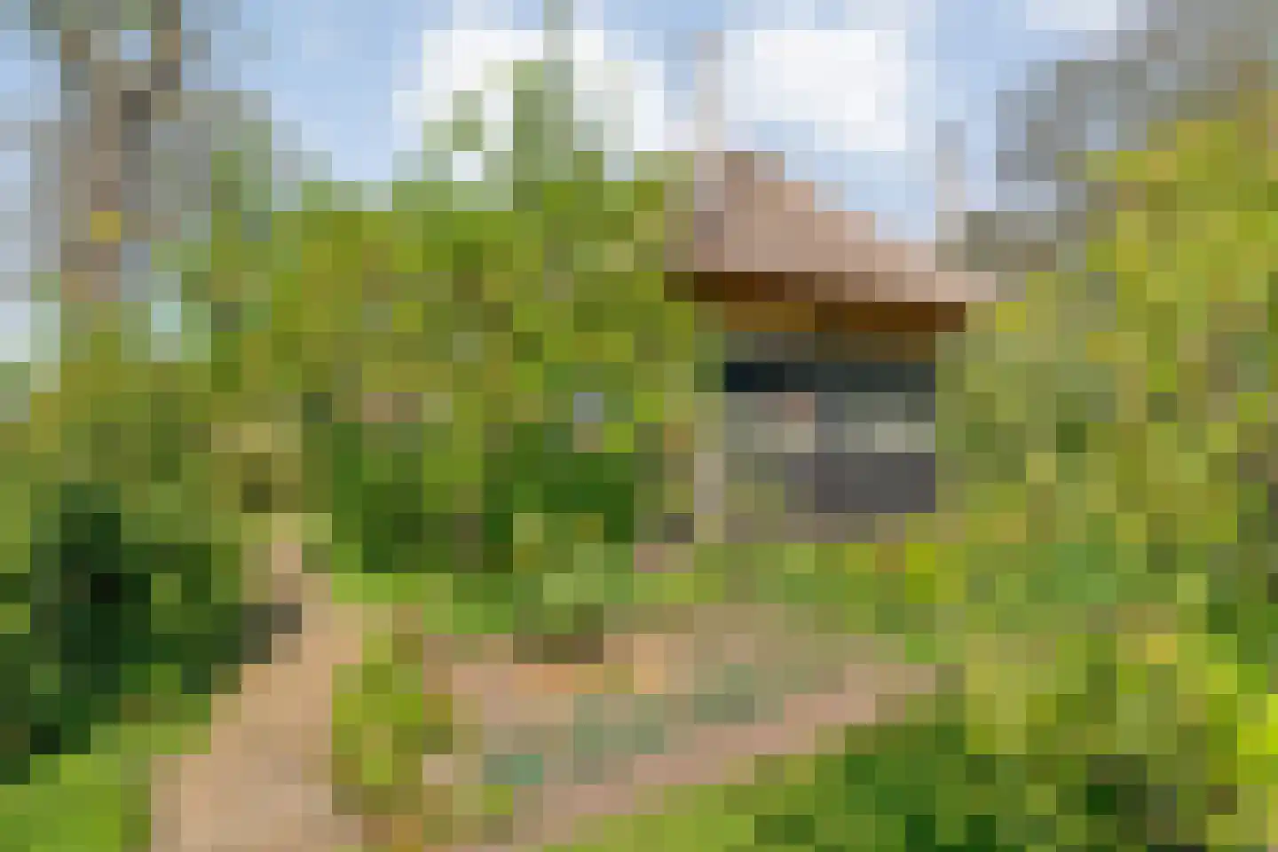 Lindeldijk 6 Radewijk thumbnail 57
