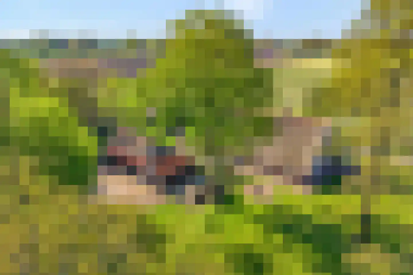Lindeldijk 6 Radewijk thumbnail 59