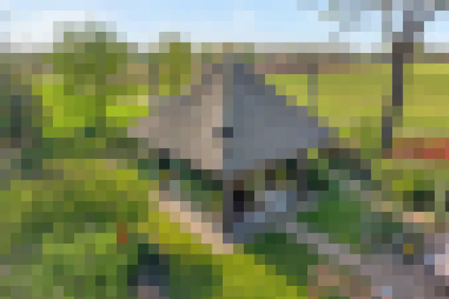 Lindeldijk 6 Radewijk thumbnail 6