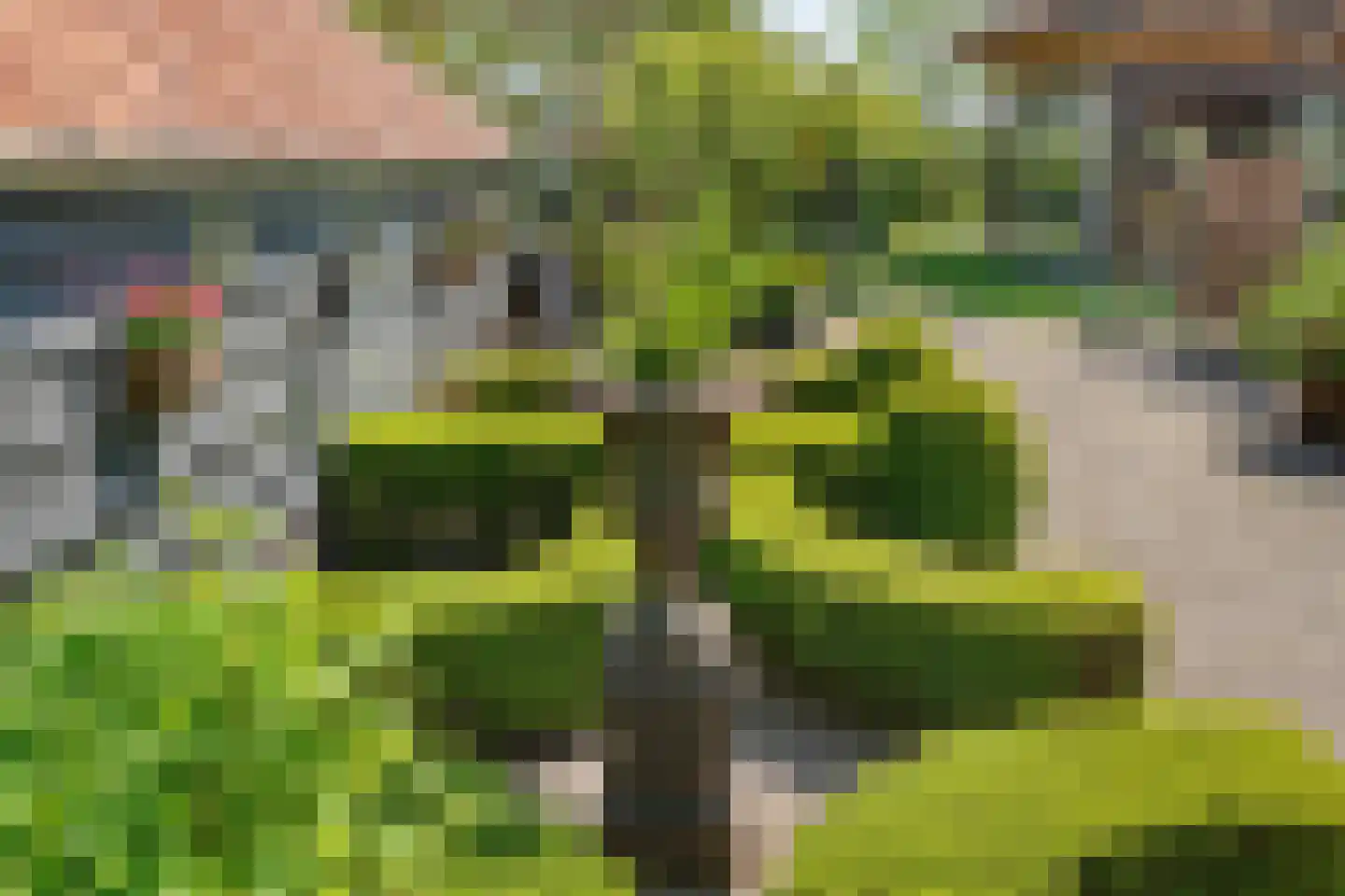 Lindeldijk 6 Radewijk thumbnail 64