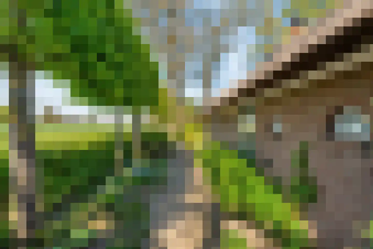 Lindeldijk 6 Radewijk thumbnail 67