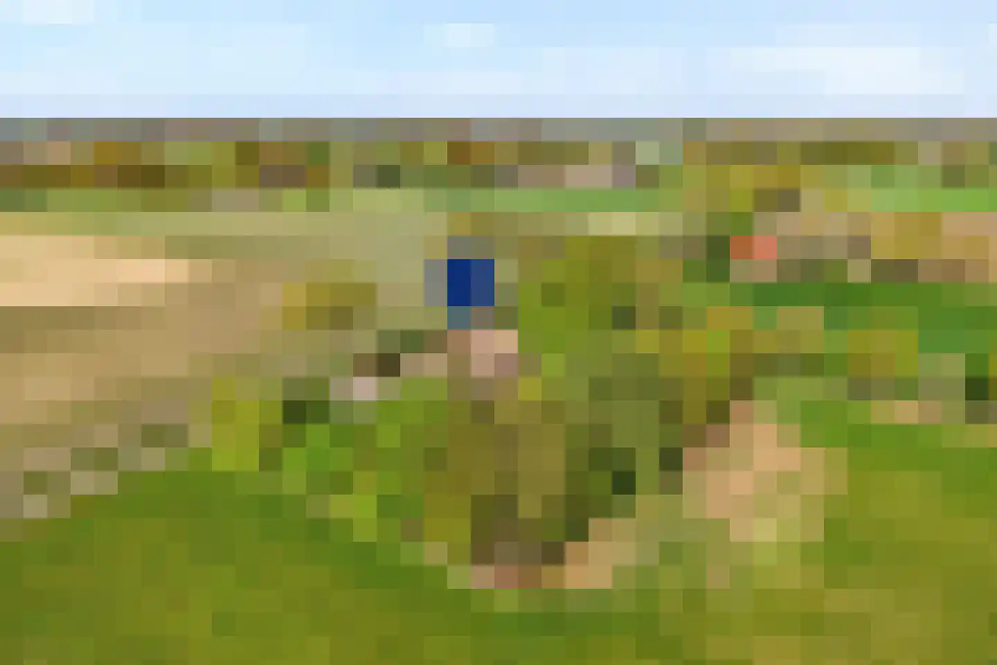 Lindeldijk 6 Radewijk thumbnail 7